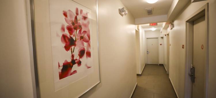 柯林斯酒店(Collins Hotel)图片