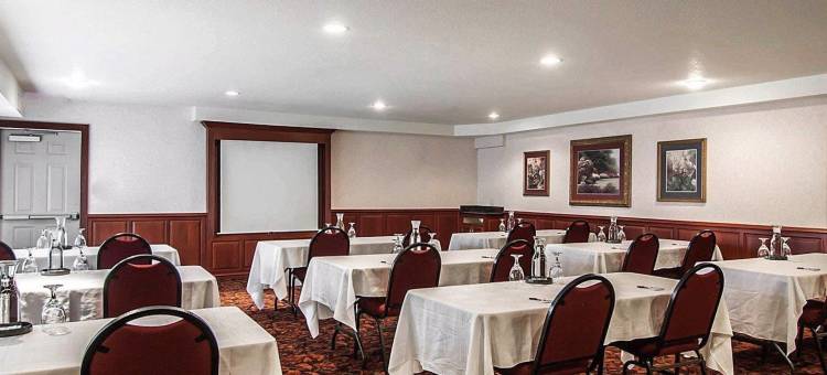 舒适套房酒店(Comfort Suites)图片