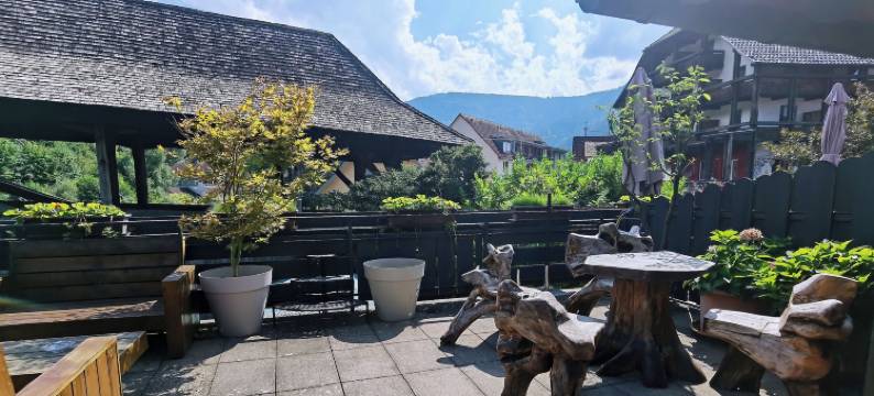 达斯瓦尔德豪斯酒店(Das Waldhaus)图片