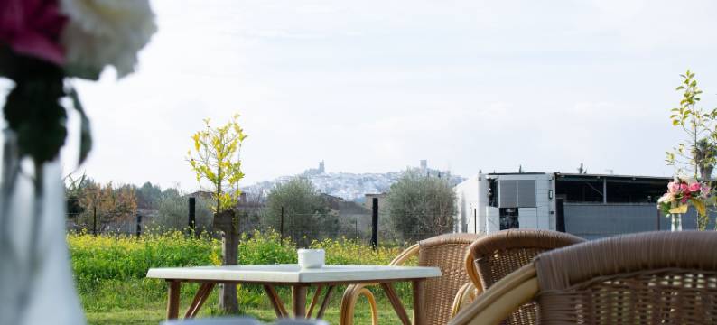 拉普拉塔乡村青年旅舍(Hostal Rural la Plata)图片