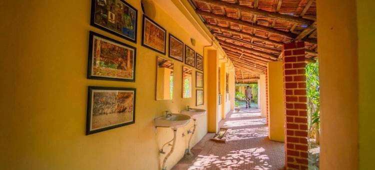 塔杜巴赛来泰格露营酒店(Camp Serai Tiger Tadoba)图片