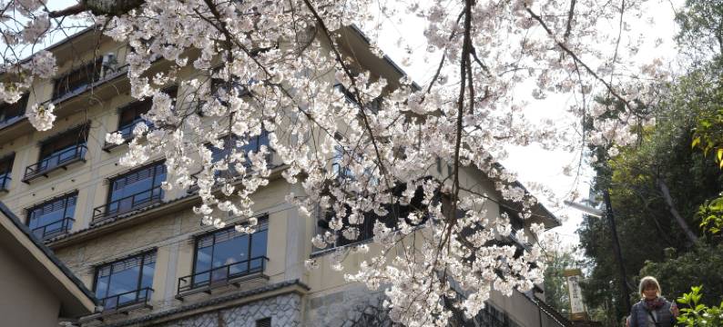 聚景庄酒店(Jukeiso)图片