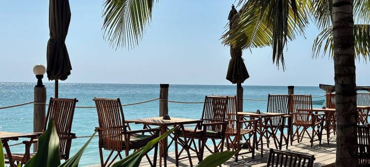 Maisha 农维海滩酒店(Maisha Nungwi)图片