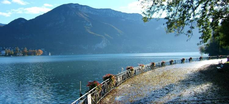 阿尔卑斯酒店(Hôtel des Alpes)图片