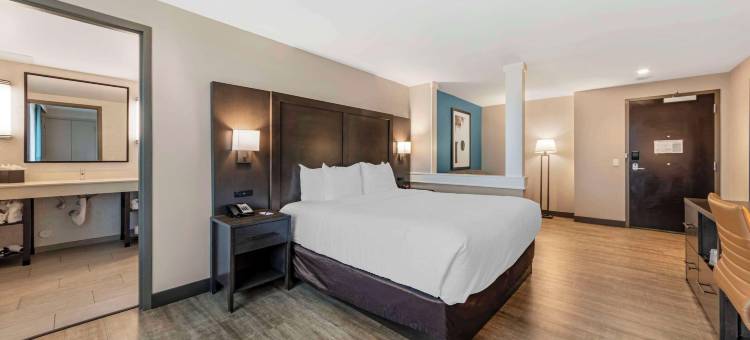 迈阿密国际机场舒适套房酒店(Comfort Inn & Suites Miami International Airport)图片