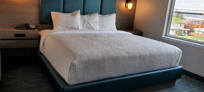 萨利什客栈(Salish Inn)图片