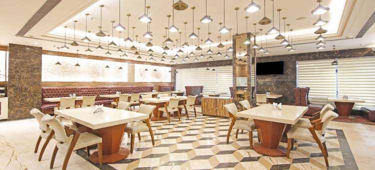 Treebo 高级阿里斯塔(Treebo Premium Arista)图片