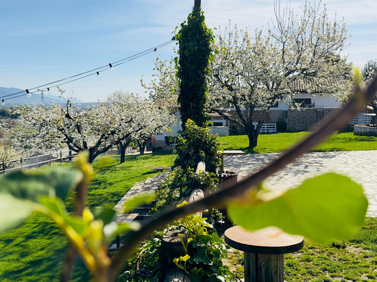 萨拉西斯别墅酒店