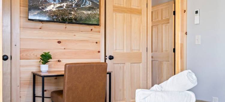 New Chalet: 8 mi to Sunday River+Pano Views+Hottub+Sauna+Dogok图片