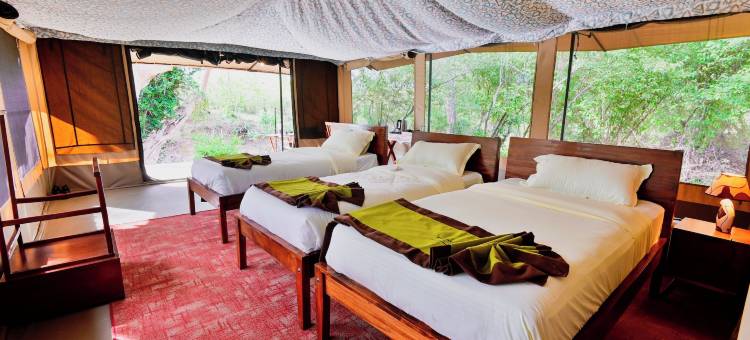 Mtito野生动物营地(Mtito Safari Camp)图片