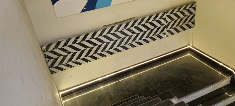 皇家兰花(The Royal Orchid)图片