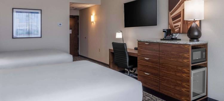 德鲁里广场酒店达拉斯阿林顿(Drury Plaza Hotel Dallas Arlington)图片