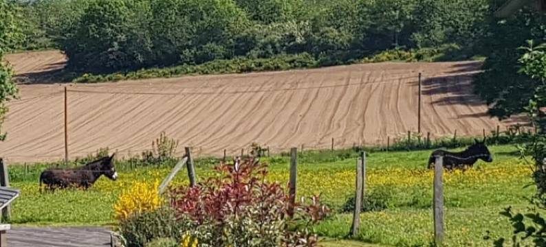 伏特坦普思酒店(Chambres et Table d'hôtes Il Fut Un Temps...)图片