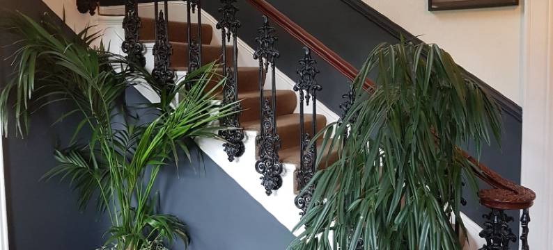 雷利什酒店(The Relish)图片