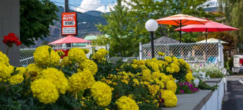 潘提顿汽车旅馆(Traveler's Motel Penticton)图片