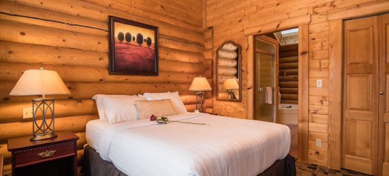 卡斯尔山小屋酒店(Castle Mountain Chalets)图片