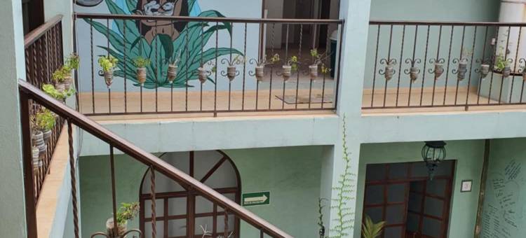 草地兔子青年旅舍(Hierba de Conejo Hostel)图片