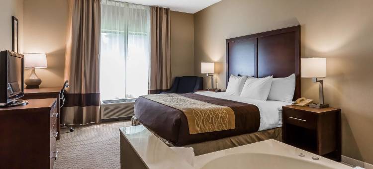 米沙瓦卡-南本德舒适套房酒店(Comfort Inn & Suites Mishawaka-South Bend)图片