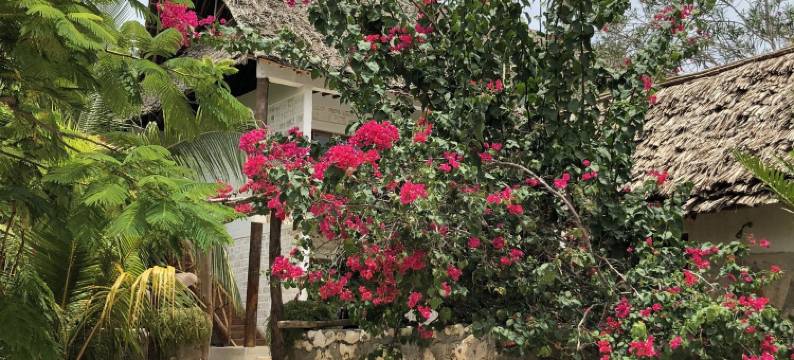 塔马尼别馆别墅酒店(Tamani Villas - Annex)图片