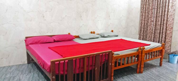 Narayani Guest House图片