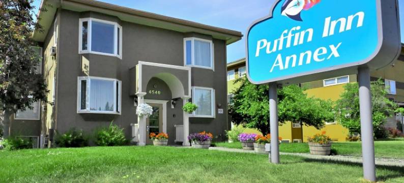 帕芬旅馆(Puffin Inn)图片