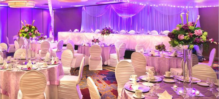 明尼阿波利斯罗斯维尔希尔顿逸林酒店(DoubleTree by Hilton Roseville Minneapolis)图片