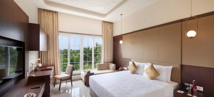 阿科德铬(Accord Chrome)图片