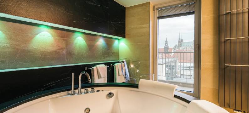 国际布尔诺酒店(Hotel International Brno)图片