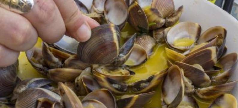 A37 - Casa Alferes in Downtown Lagos图片