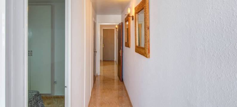 Elegant Apartment with Terrace图片