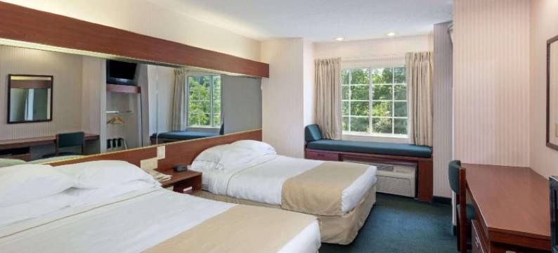 马修斯/夏洛特温德姆麦客达套房酒店(Microtel Inn & Suites by Wyndham Matthews/Charlotte)图片