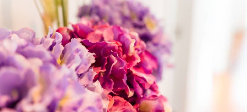 GuestReady - Retiro relaxante no Funchal图片