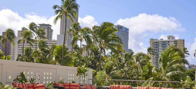 阿拉那希尔顿逸林酒店-威基基海滩(DoubleTree by Hilton Alana - Waikiki Beach)图片