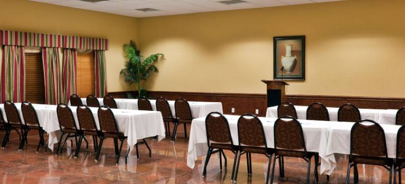 Holiday Inn Express 萨拉多-贝尔顿(Holiday Inn Express SALADO-BELTON by IHG)图片