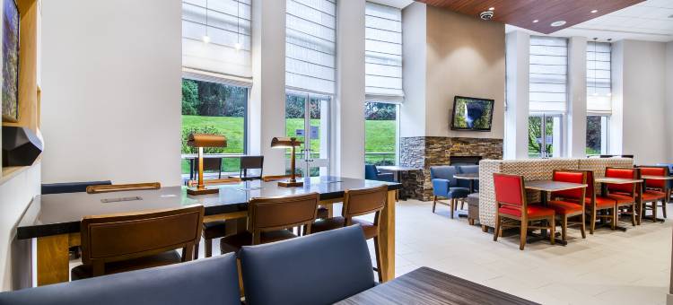 Holiday Inn Express & Suites 兰利智选假日酒店(Holiday Inn Express & Suites LANGLEY by IHG)图片