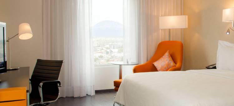 普埃布拉拉斯阿尼玛斯节日酒店(Fiesta Inn Puebla Las Animas)图片