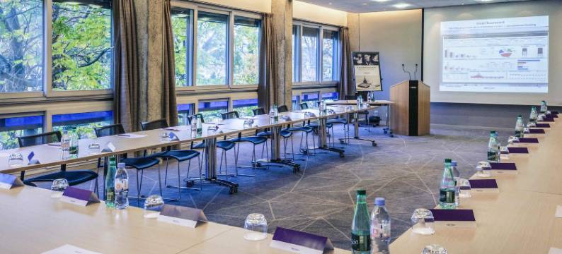 米卢斯中心美居酒店(Hôtel Mercure Mulhouse Centre)图片