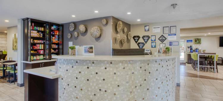 北凤凰城贝斯特韦斯特酒店(Best Western North Phoenix Hotel)图片