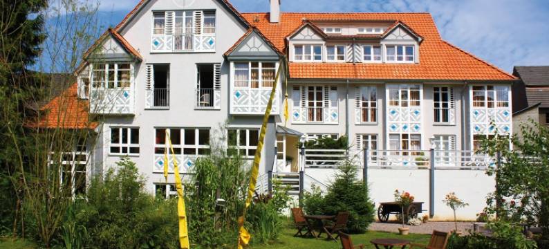 罗曼提斯切斯曼扎萨酒店(Romantisches Hotel Menzhausen)图片