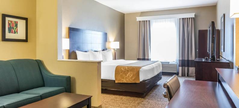 北部舒适套房酒店(Comfort Suites North)图片