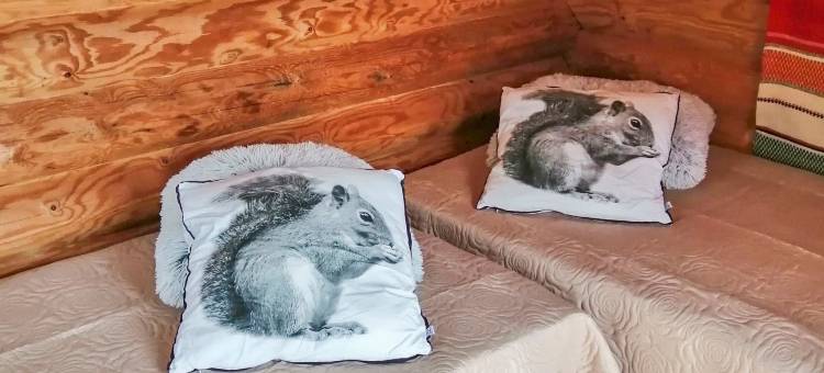 Ruokovirran mökki图片