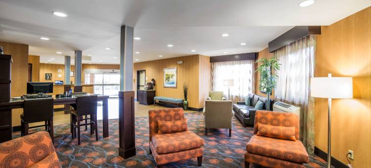 大学舒适酒店(Comfort Inn University)图片