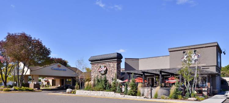 普利茅斯-明尼阿波利斯舒适酒店(Comfort Inn Plymouth-Minneapolis)图片