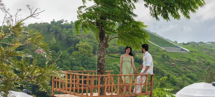 蒙蒂克露营地(Monticle Glamp)图片