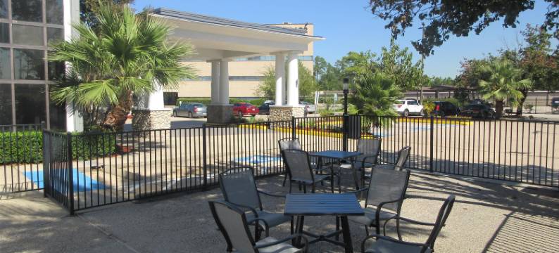 Best Western Champions Forest Inn and Suites图片