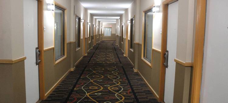 大学区凯艺套房酒店(Quality Inn & Suites University Area)图片