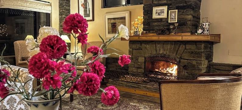 阿维尼达雪顶度假屋(Avenida Snowcap Retreat)图片