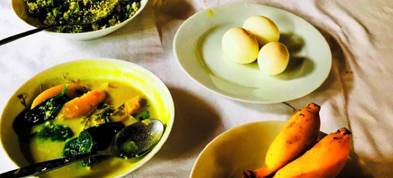 苏加塔游客休息旅馆(Sujatha Tourist Rest)图片