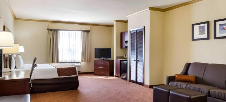 克利尔莱克舒适套房酒店-近NASA(Comfort Suites Near NASA - Clear Lake)图片