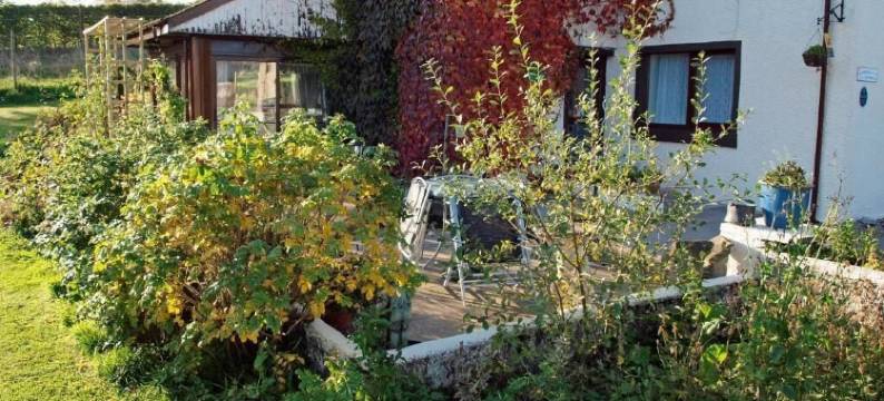 哈克纳波班农场酒店(Achnabobane Farmhouse)图片